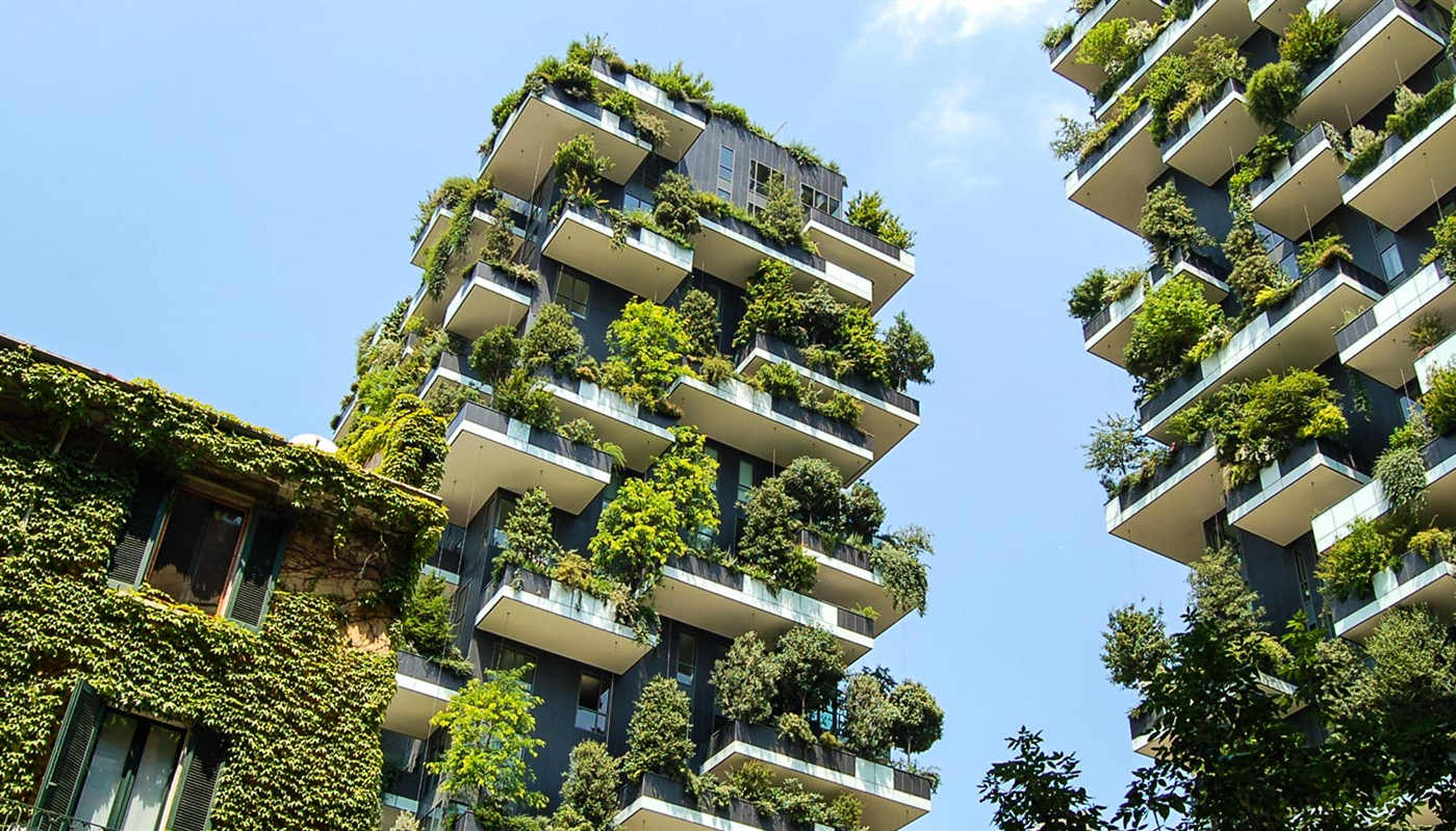 戶外綠植墻